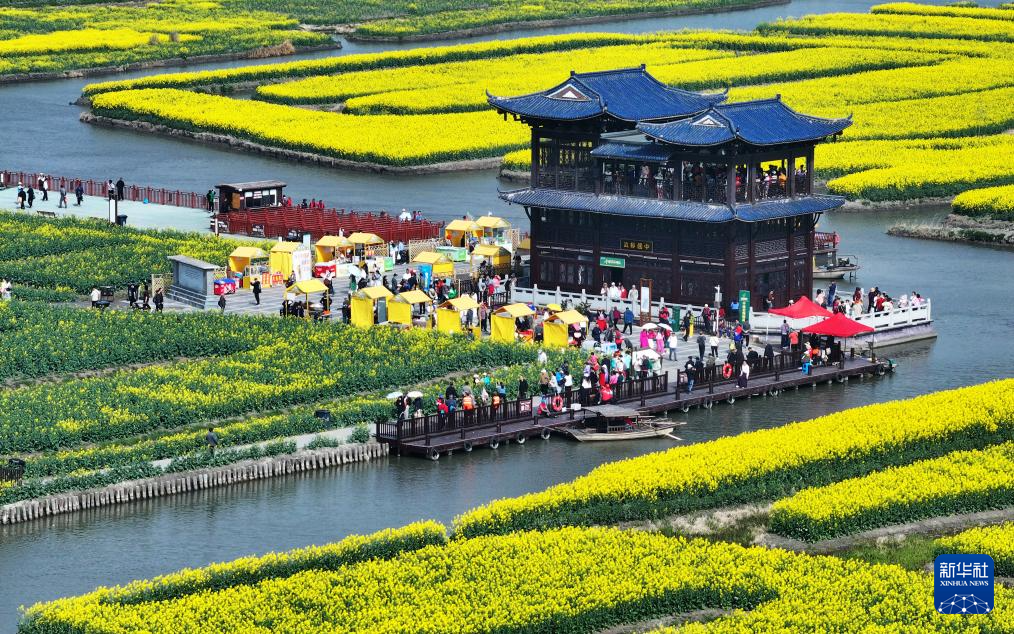江蘇興化：千垛花開迎客來(lái)