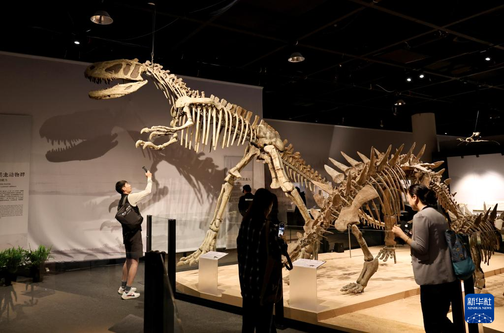 中國(guó)恐龍大展在上海開(kāi)幕