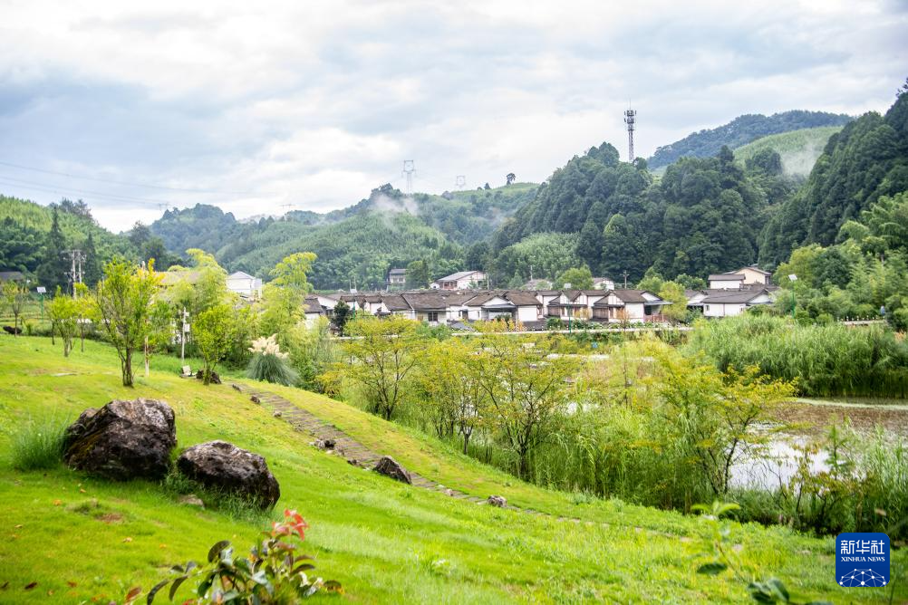 重慶梁平：生態(tài)產(chǎn)業(yè)化助推青山變“金山”