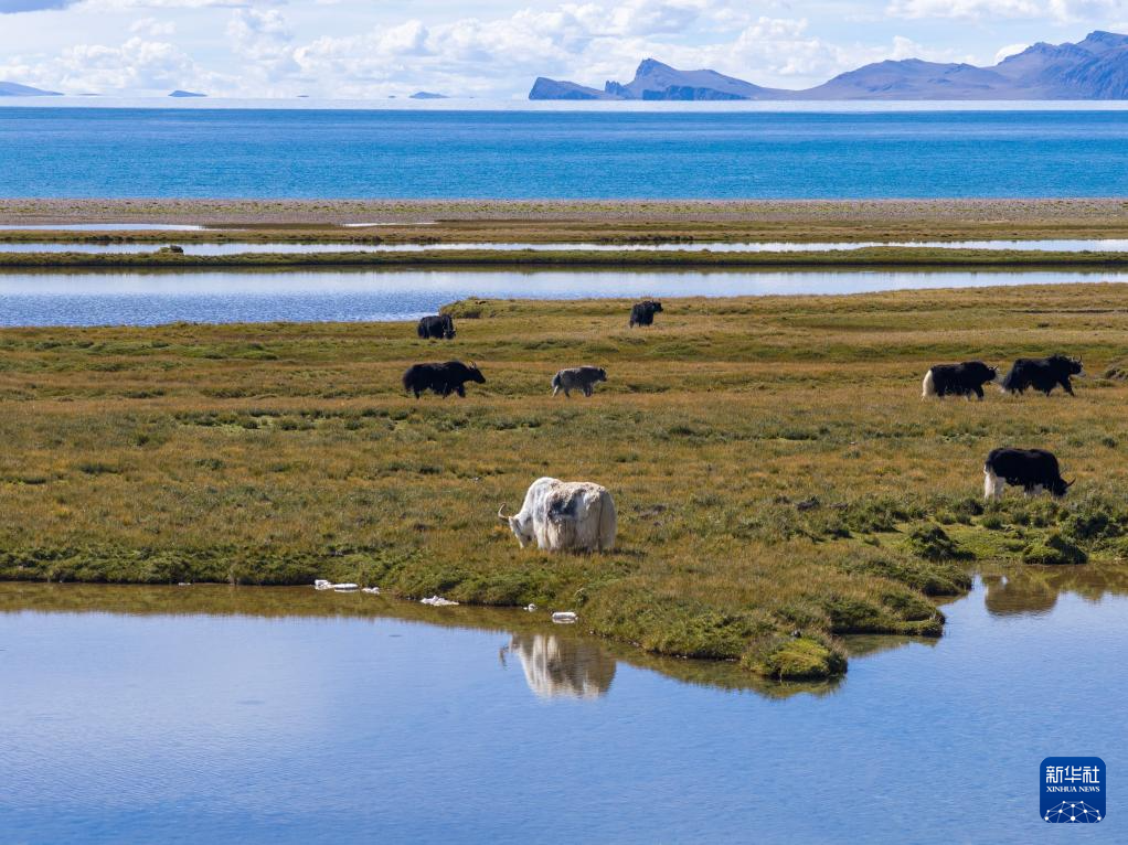 納木錯(cuò)秋韻