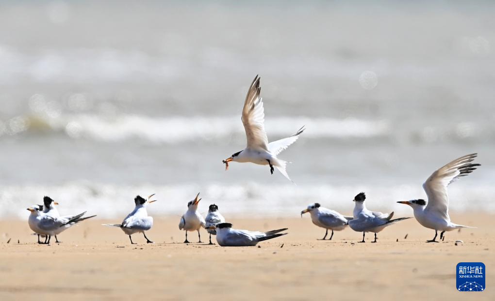 “神話之鳥”來(lái)?xiàng)? /><span>“神話之鳥”來(lái)?xiàng)?/span></a></li>
				<li><a href=