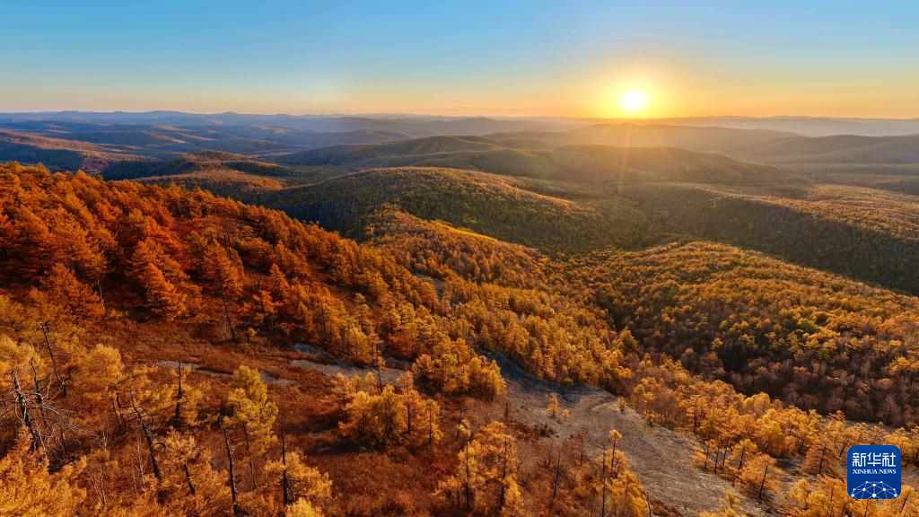 灣區(qū)升明月”大灣區(qū)電影音樂(lè)晚會(huì)再度在澳門舉行