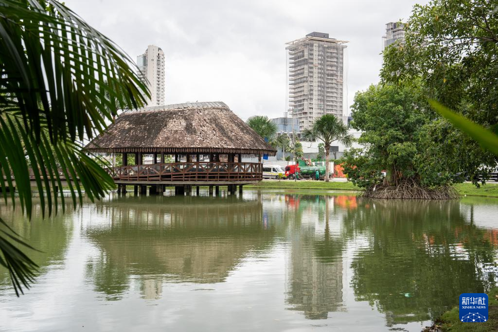 巴西貝倫：“亞馬孫之門”的生態(tài)魅力