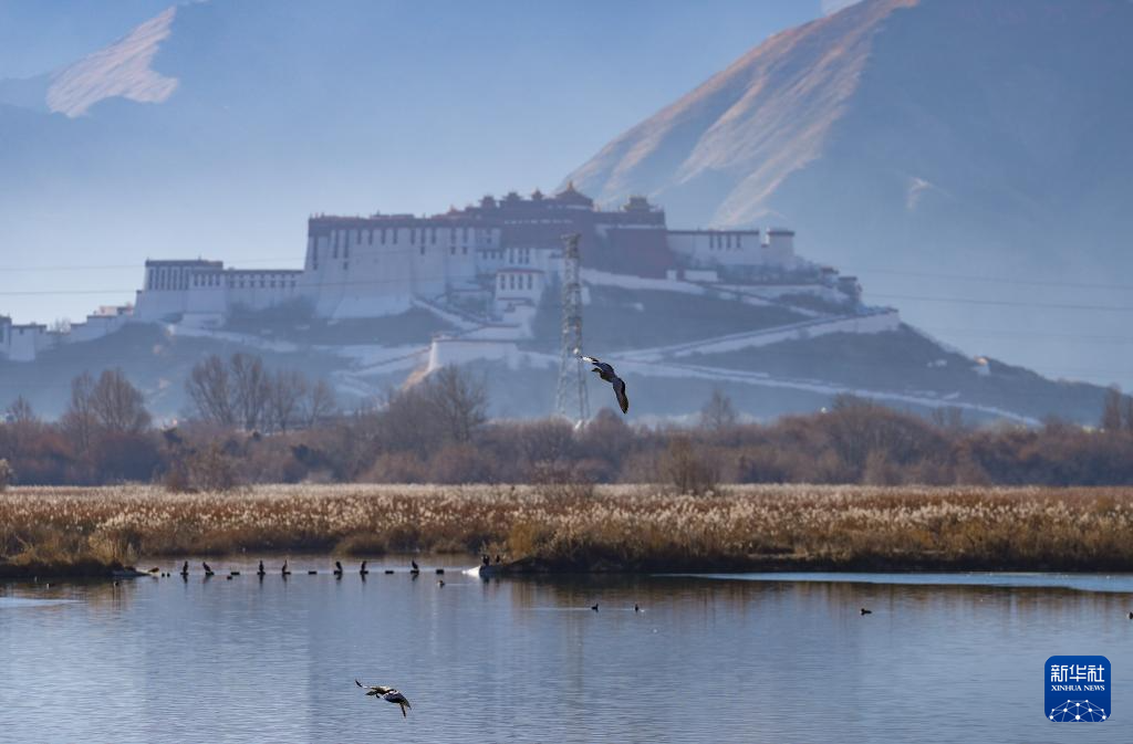 西藏：拉魯濕地獲“世界海拔最高的城市天然濕地”世界紀(jì)錄認(rèn)證