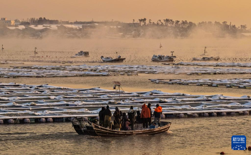 山東榮成：雪后海灣出現(xiàn)“海浩”景觀