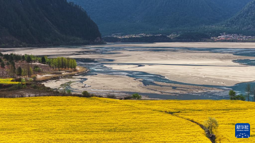 西藏波密：花開易貢春正濃